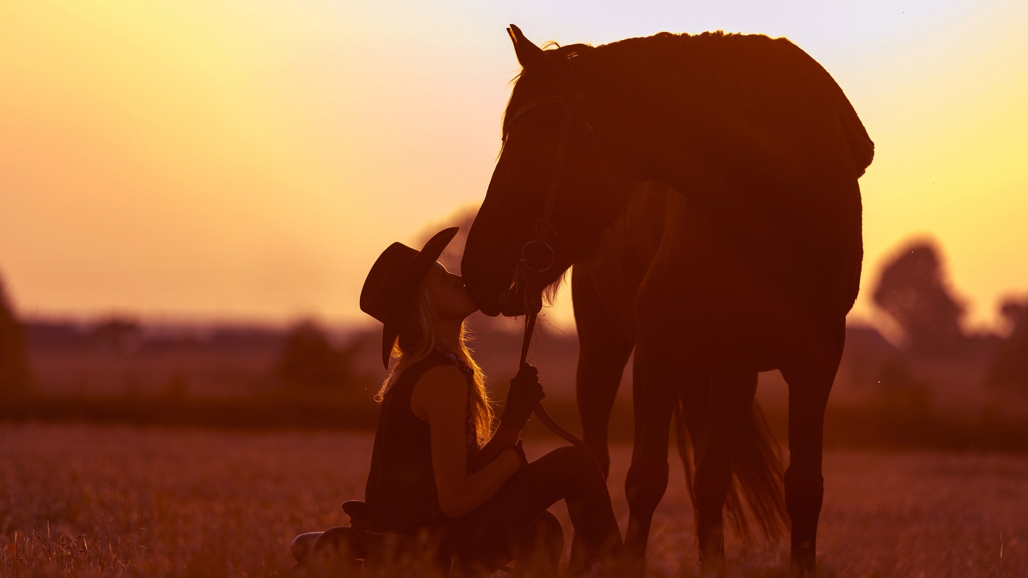 Silhouette of a horse and a cowgirl standing close together against a sunset sky.