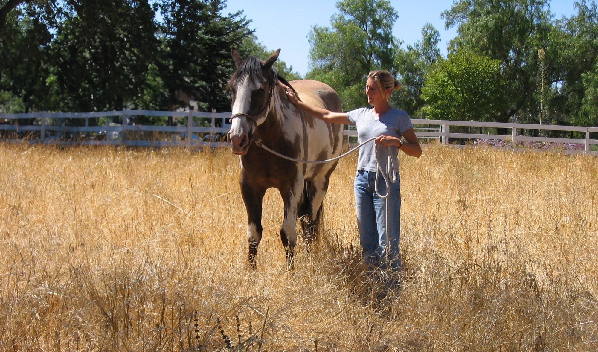 Thunderheart paint horse and Marty in a field 