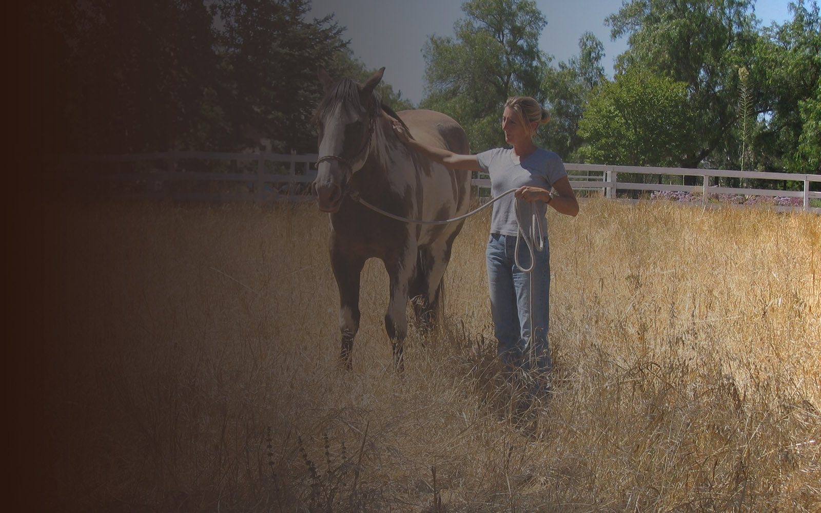 The name of my business came from my gentle giant of a horse... a draft-cross that I got as a 2 year old. He was BIG and big-hearted and my nickname for him was Thunderheart. 